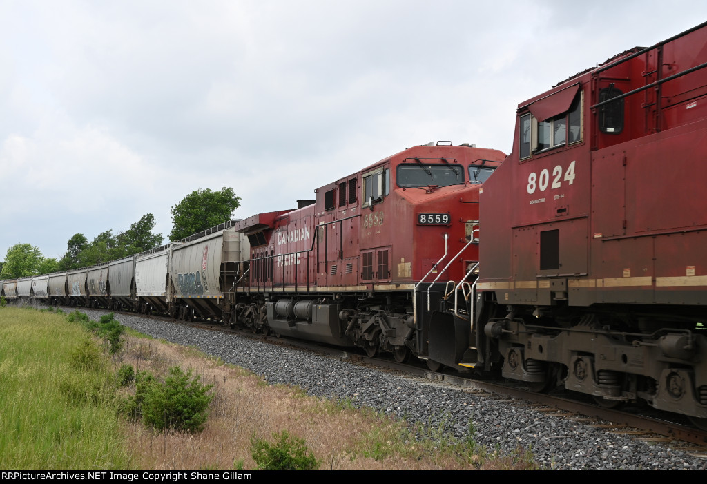 CP 8559 Roster shot